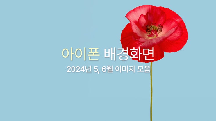  아이폰 15 프로맥스 고화질 폰 배경화면 10종