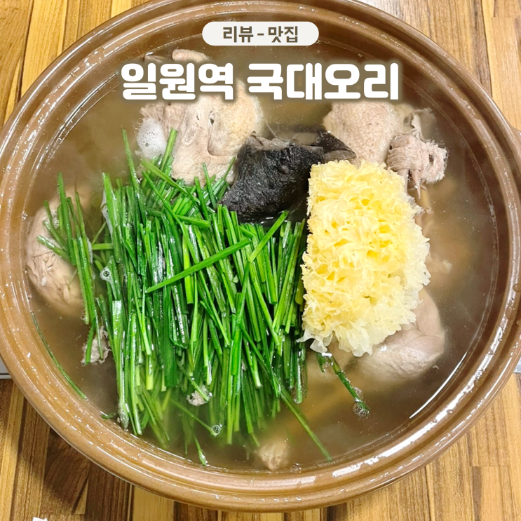  일원역 오리고기 맛집 국대오리 보양식으로 오리백숙 먹은 후기