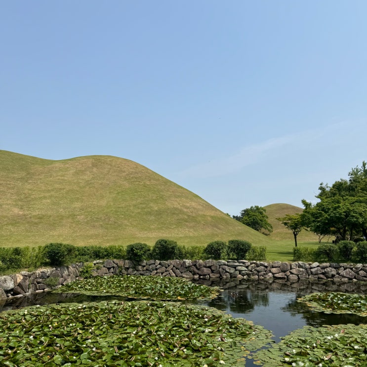  경주 당일치기 코스 추천 및 대릉원 방문 훅2