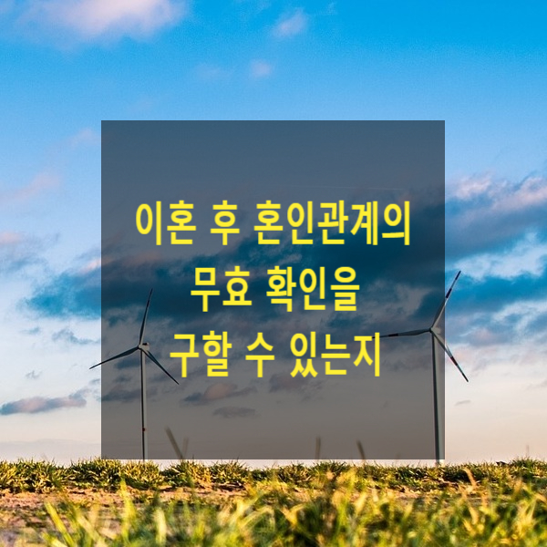  이혼 후 혼인관계의 무효 확인을 구할 수 있는지(대법원 2024. 5. 23. 선고 2020므15896 전원합의체 판결) - 확인의 이익, 혼인무효 사유, 혼인취소