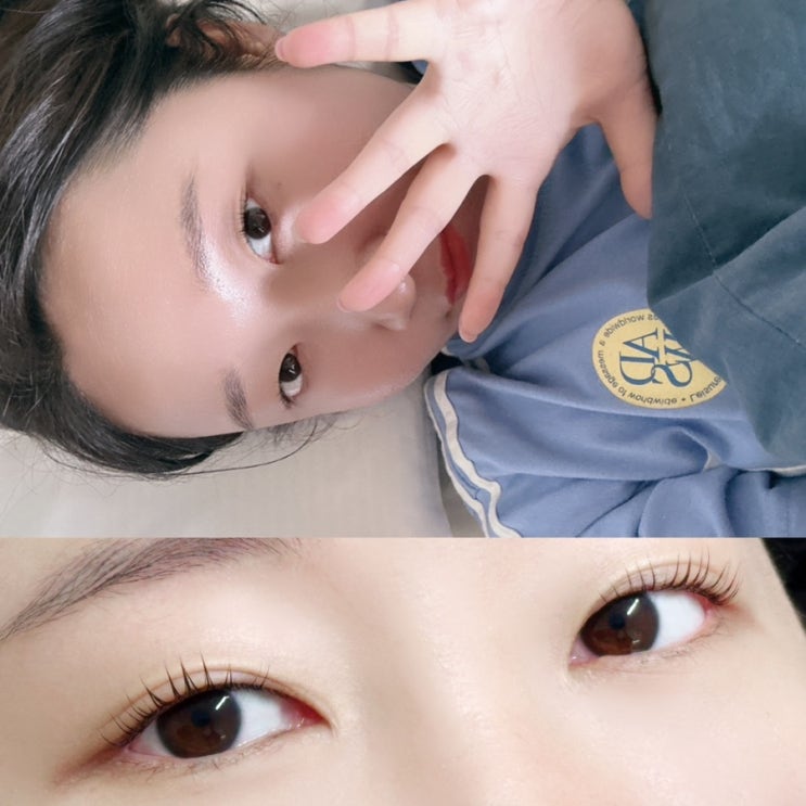  노원속눈썹펌 재방문 라보떼래쉬 바짝잘올리는곳 속눈썸펌주기