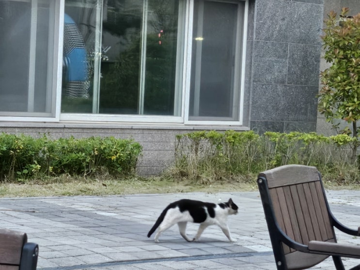  평일의 게으름은 모두 토요일에 에너지를 쓰기 위함입니다. 육아 퐈이어