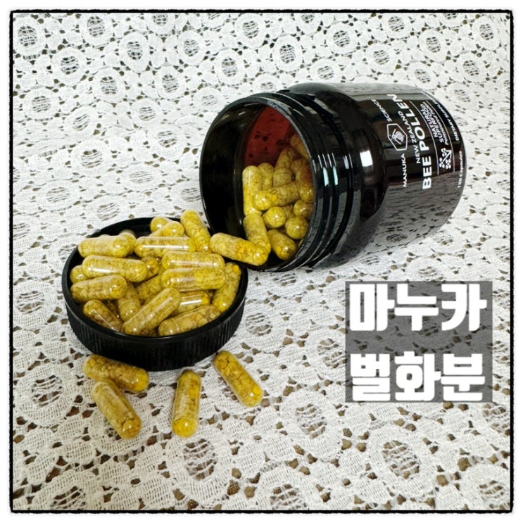  마누카사이언스 뉴질랜드 비폴렌 항염증 벌화분 부모님선물 후기