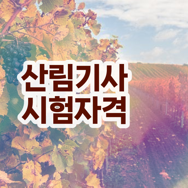  산림기사 필기 산림기사 시험자격 집에서 온라인으로 1학기에 끝낸 전략