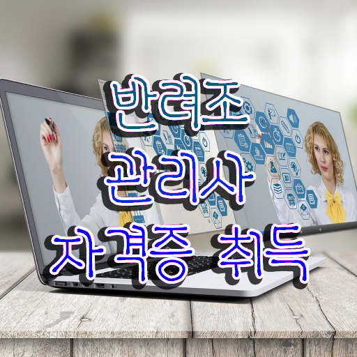  코뉴어 앵무새 , 반려조관리사 자격증 학습한 후기 체크해보세요