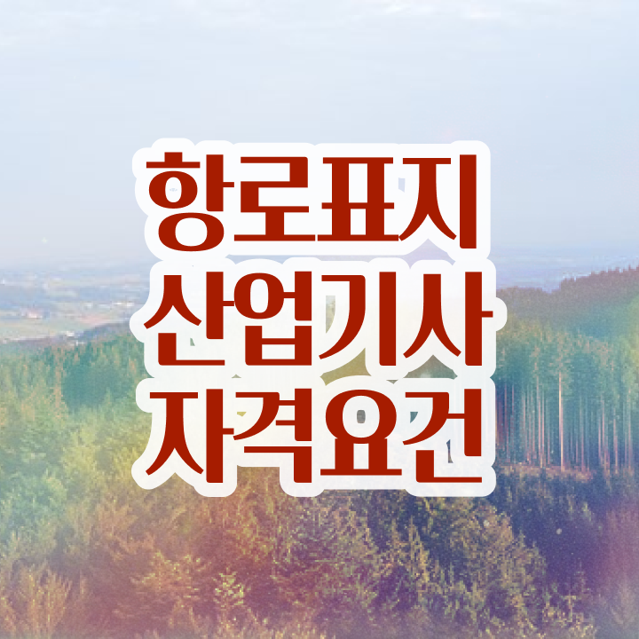  항로표지산업기사 취득자격 인강만 듣고 15주만에 끝낸 전략