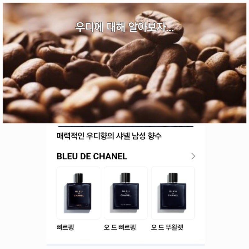우디향의 의미와 추천하는 우디향 향수 제품 테시스 1