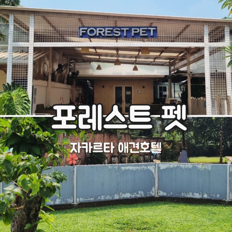 사진 4