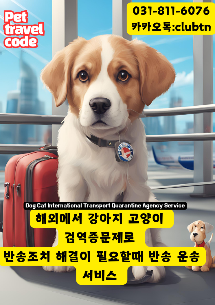  강아지 고양이 대형견 반려견 반려묘 애완동물 반려동물 해외출국 해외운송 해외검역시에 검역증 미첨부 시 주의하세요! 