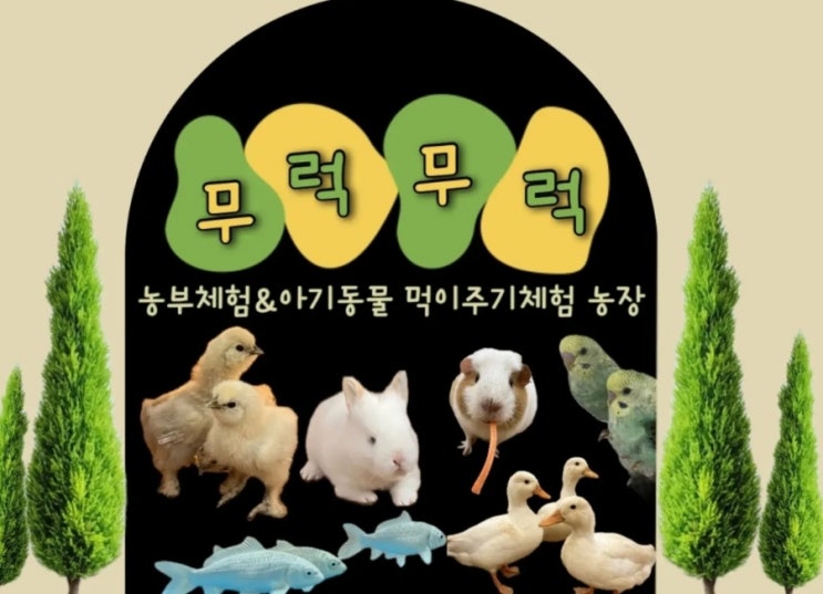 [용인] 무럭무럭농장 가성비 좋은 깨끗한 신상 농장(한숲시티 체험형 농장)