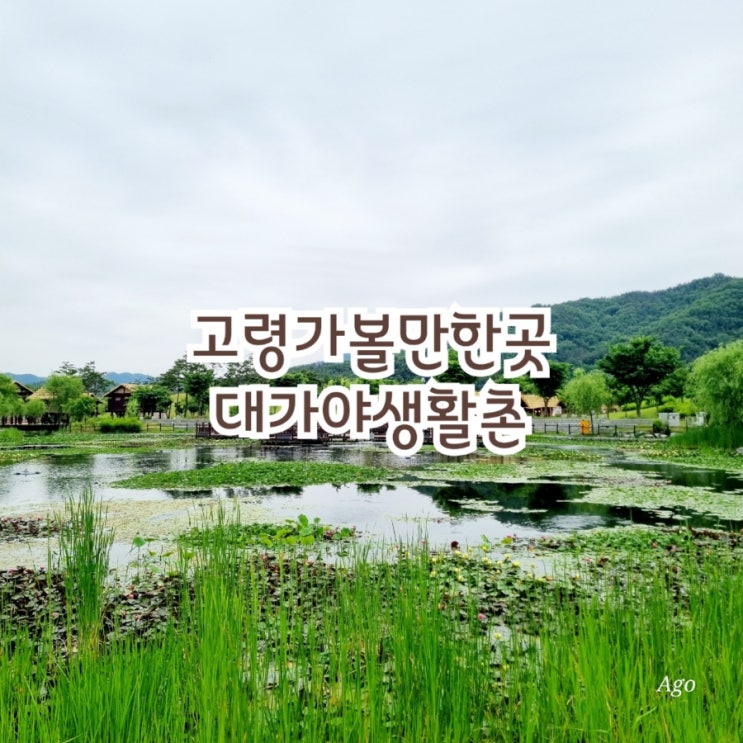  고령가볼만한곳 대가야생활촌 feat 무료주차 무료입장