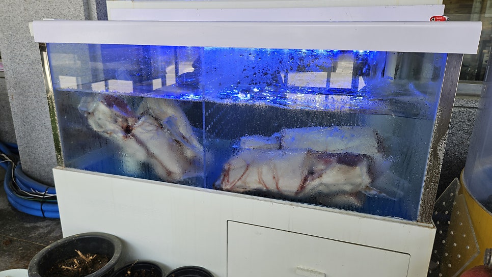 803꽃게장해물탕 사진 6