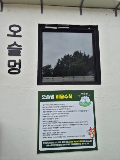사진 9