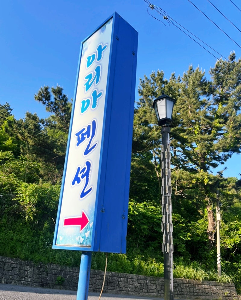 사진 3
