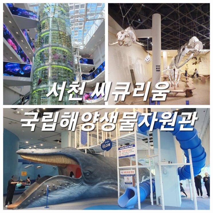  서천 씨큐리움 국립해양생물자원관 고래고래 외에도 볼거리 가득!