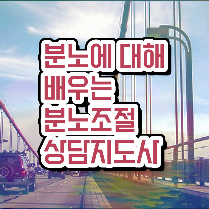  분노조절장애 아이 온라인으로 간단히 분노조절상담지도사자격증 합격 후기 궁금증 해결