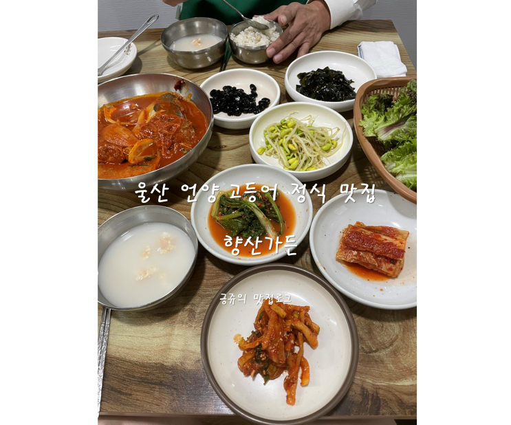  울산 언양 고등어 정식 맛집 향산가든 내돈내산