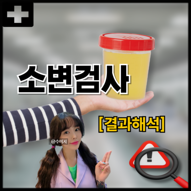  소변검사로 알수있는것 단백뇨 요단백 요비중 소변 ph 수치 케톤체