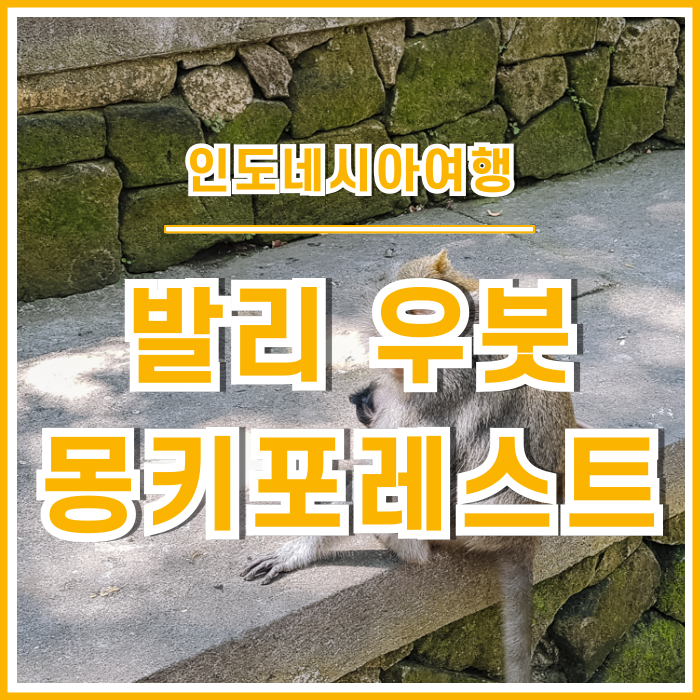  [발리여행] 우붓의 이색적인 명소 몽키포레스트 : 인도네시아③