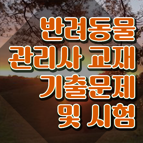  강아지훈련사자격증 , 반려동물관리사 자격증 준비한 과정 소개