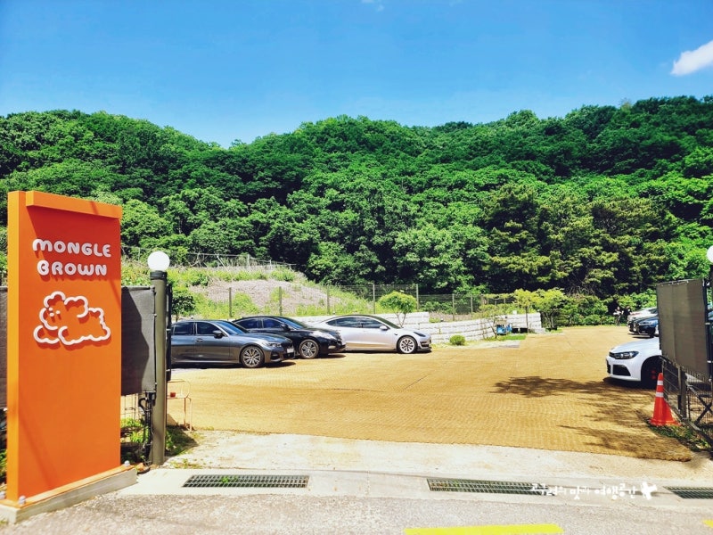 사진 12