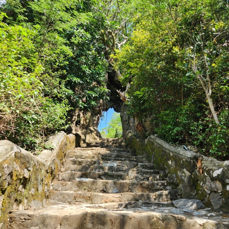  [다낭] 오행산 동굴 코스, 입장료, 엘리베이터, 암푸동굴