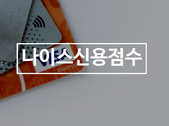  나이스 NICE 신용점수 조회 등급 높이는 꿀팁