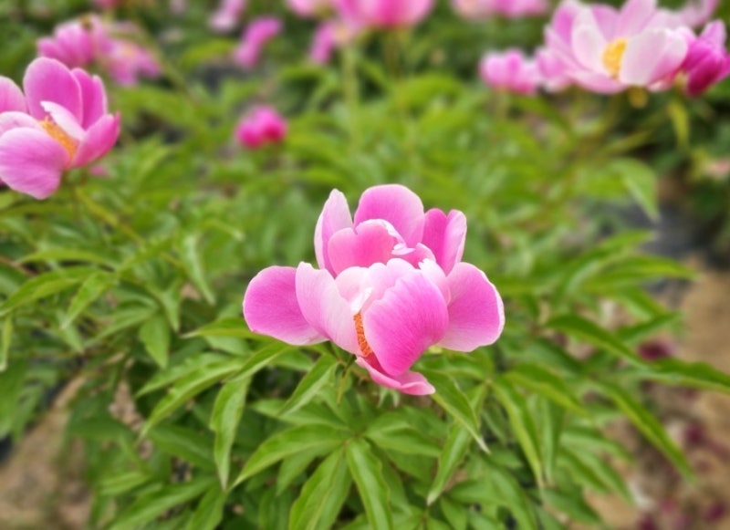 사진 7