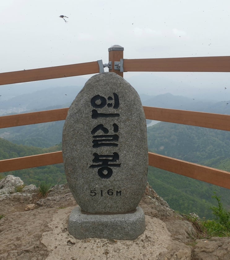  100대 명산) 영광 불갑산 연실봉 산행 후 할매집보리밥 꿀맛 조합