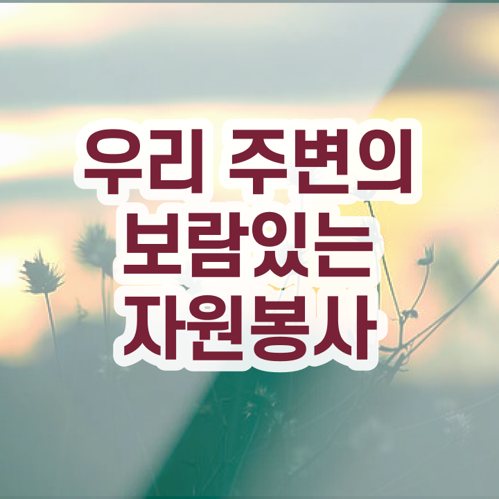  자원봉사지도사자격증 , 자원봉사지도사 자격증 합격정보 보고가세요