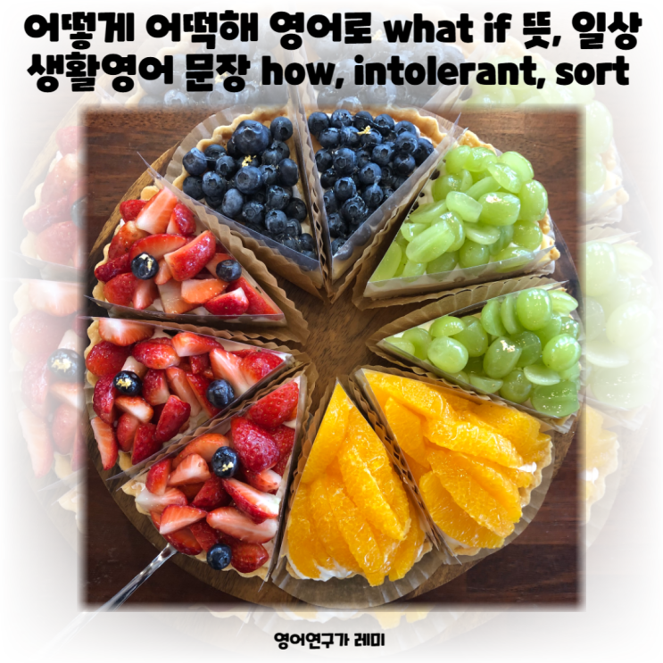 어떻게 어떡해 영어로 what if 뜻, 일상 생활영어 문장 how, intolerant, sort 어떻게 어떡해 영어로 what if 뜻, 일상 생활영어 문장 how, intolerant, sort