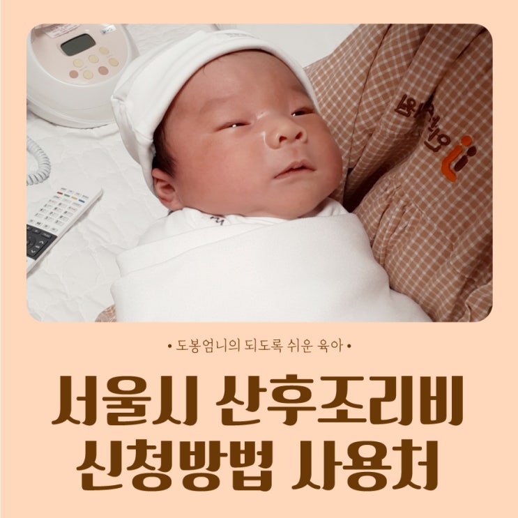  서울시 산후조리비 지원 100만원 바우처 신청방법 사용처 출산 혜택 총정리