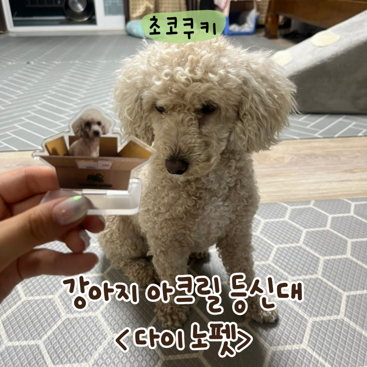  다이노펫 아크릴등신대 반려동물