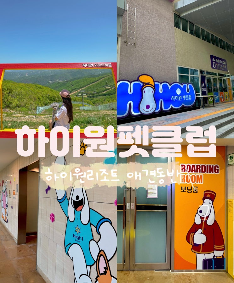  하이원리조트 힐콘도 펫클럽 총정리 강아지놀이터 보딩룸 샤워룸 애견동반식당 하우하우클럽