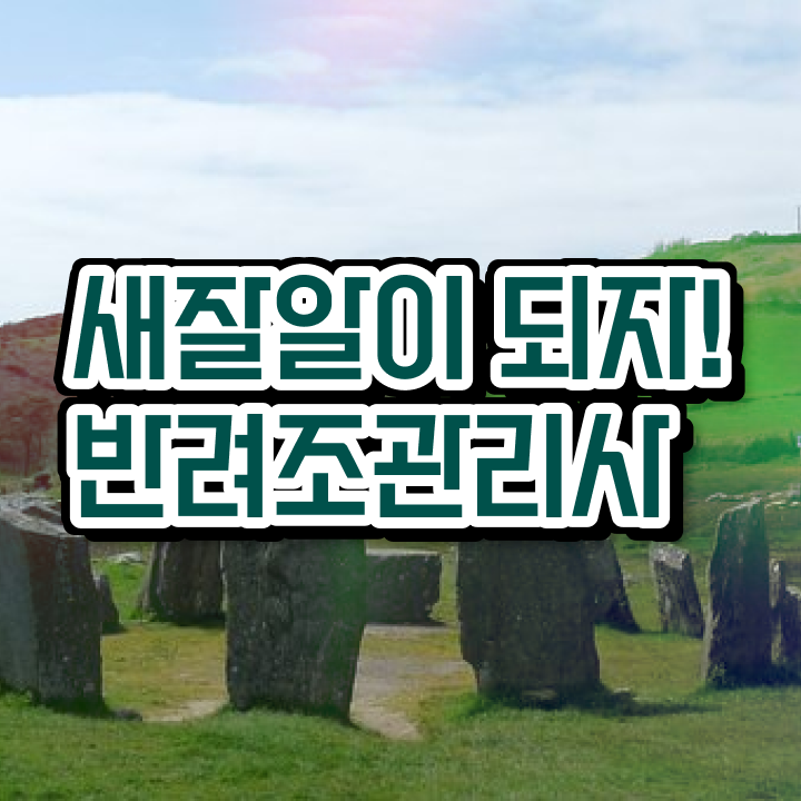  사랑앵무새키우기 , 반려조관리사 자격증 응시자격 없이 합격한 전략 짚어드려요