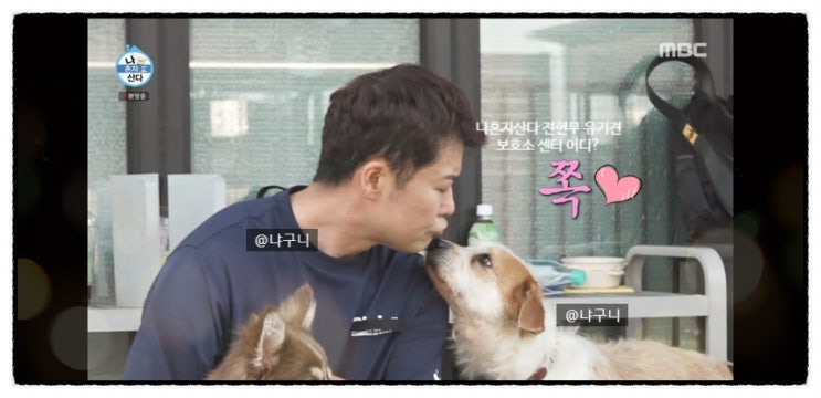 나혼자산다 <b>전현무 유기견</b> 보호소 봉사 어디? <b>입양</b> 방법 나혼산