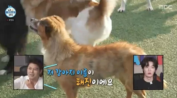 <b>전현무</b>가 최근 유기견 보호소에서의 활동 공개 전 <b>연인</b> 한혜진... 