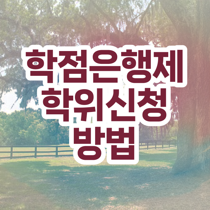  학점은행제수강 학점은행제 플래너 알고 싶은 정보 가득
