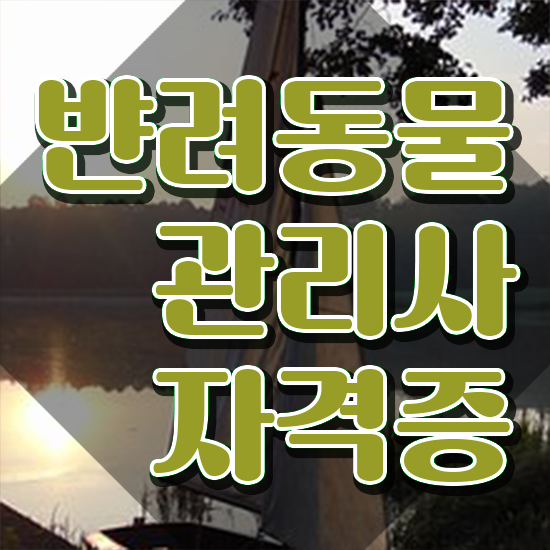  대전반려동물의료비지원 , 반려동물관리사 자격증 취득한 노하우 궁금증 해결