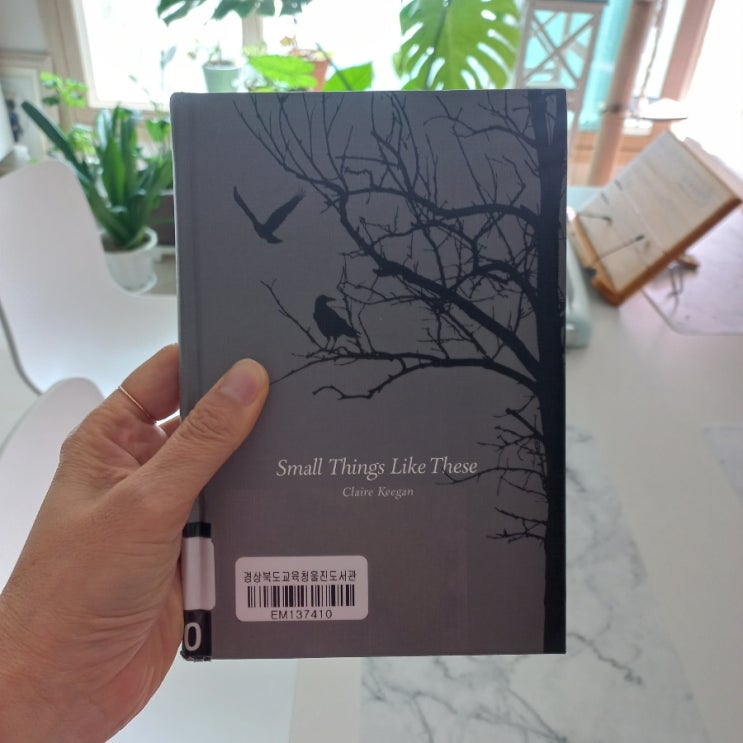  이처럼 사소한 것들 Small Things Like These 클레어 키건 소설