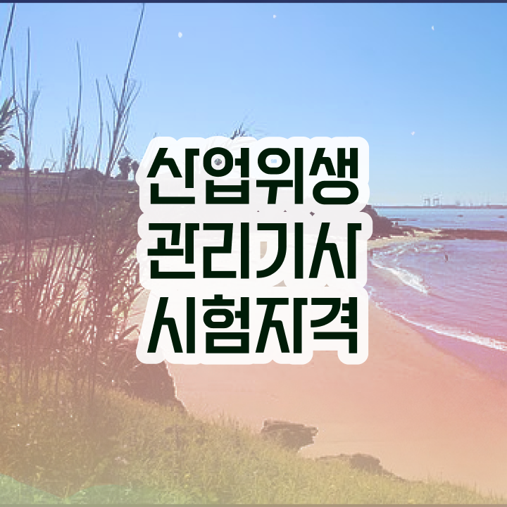  산업위생관리기사 공부 산업위생관리기사 시험응시조건 온라인 수업으로 15주만에 끝낸 팁