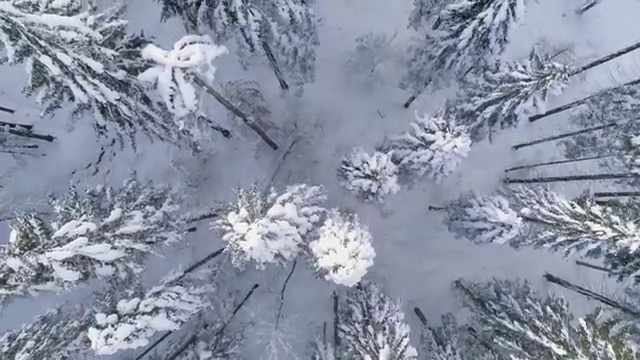  부천 사회복지학사 ~