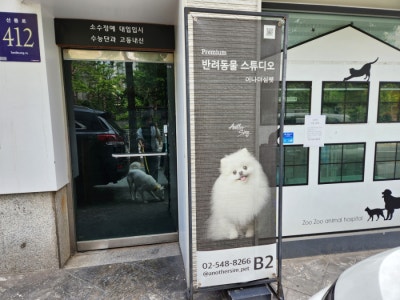 사진 6
