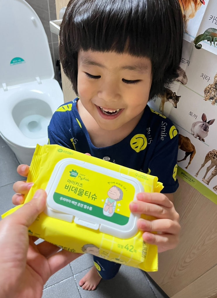  아이 배변훈련 어린이화장실물티슈 마이키즈 비데물티슈