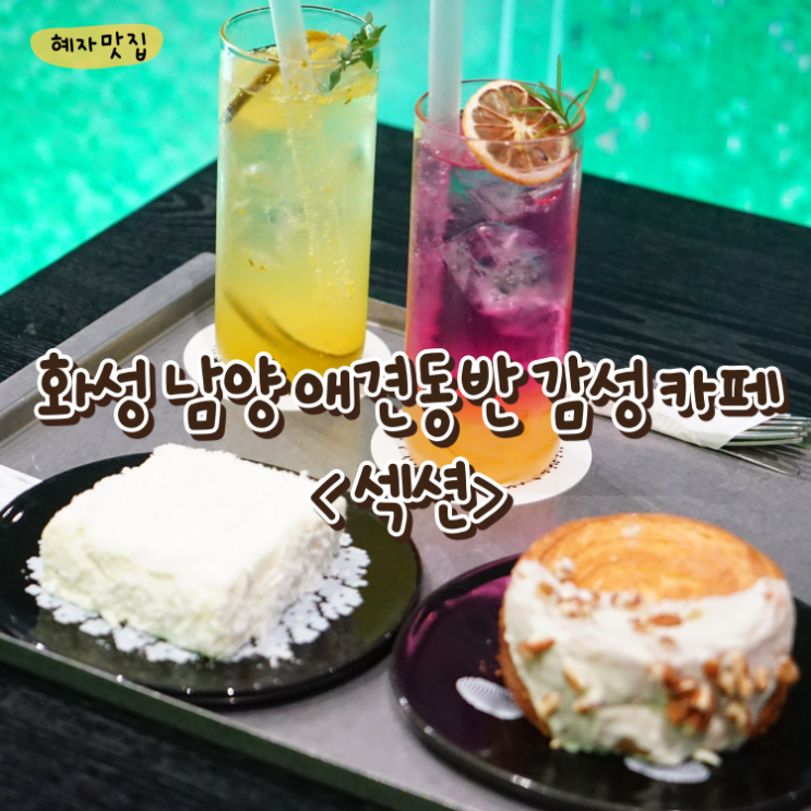 화성 남양 대형 카페 섹션 애견동반 가능