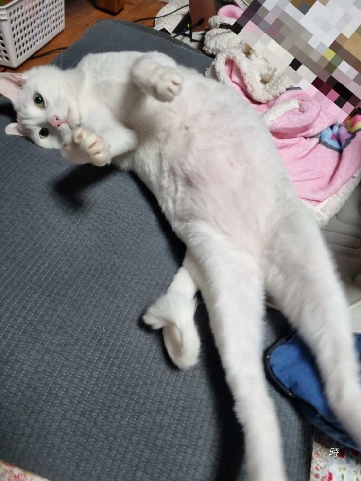  돌발성 난청 진단 그 후...