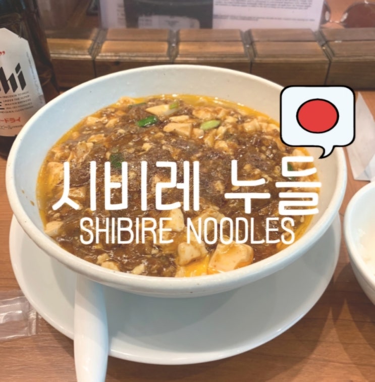  시비레 누들 SHIBIRE NOODLES 도쿄 오모테산도 힐즈 맛집