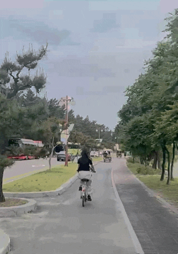  강릉 가볼 만한 곳 경포 호수에서 자전거 대여 및 산책 코스