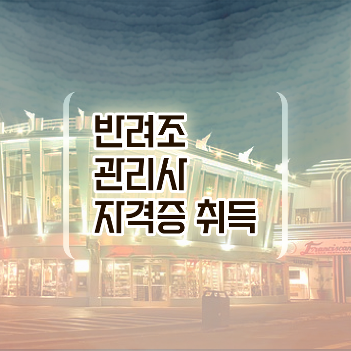  왕관앵무새 분양 , 반려조관리사 자격증 쉽고 간편하게 학습한 후기 알려드립니다