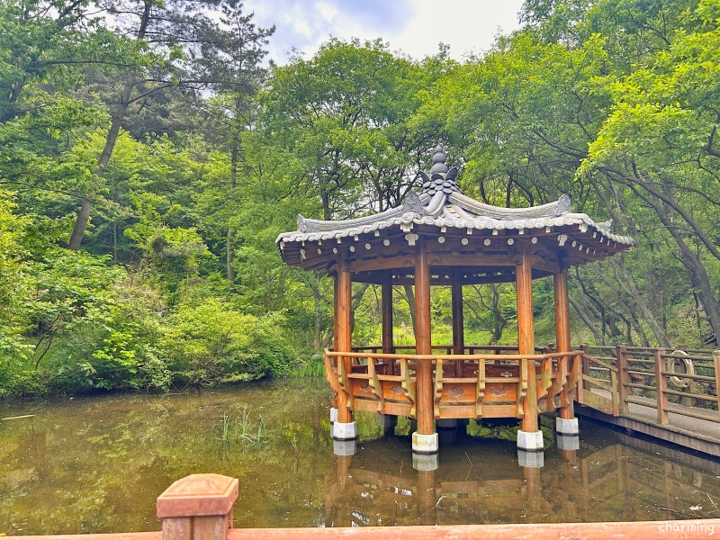사진 4